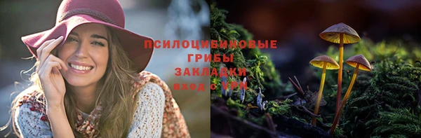 a pvp Осинники