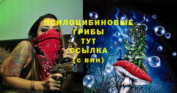 прущие крисы Нязепетровск